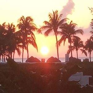 Meet your Posher, Holee